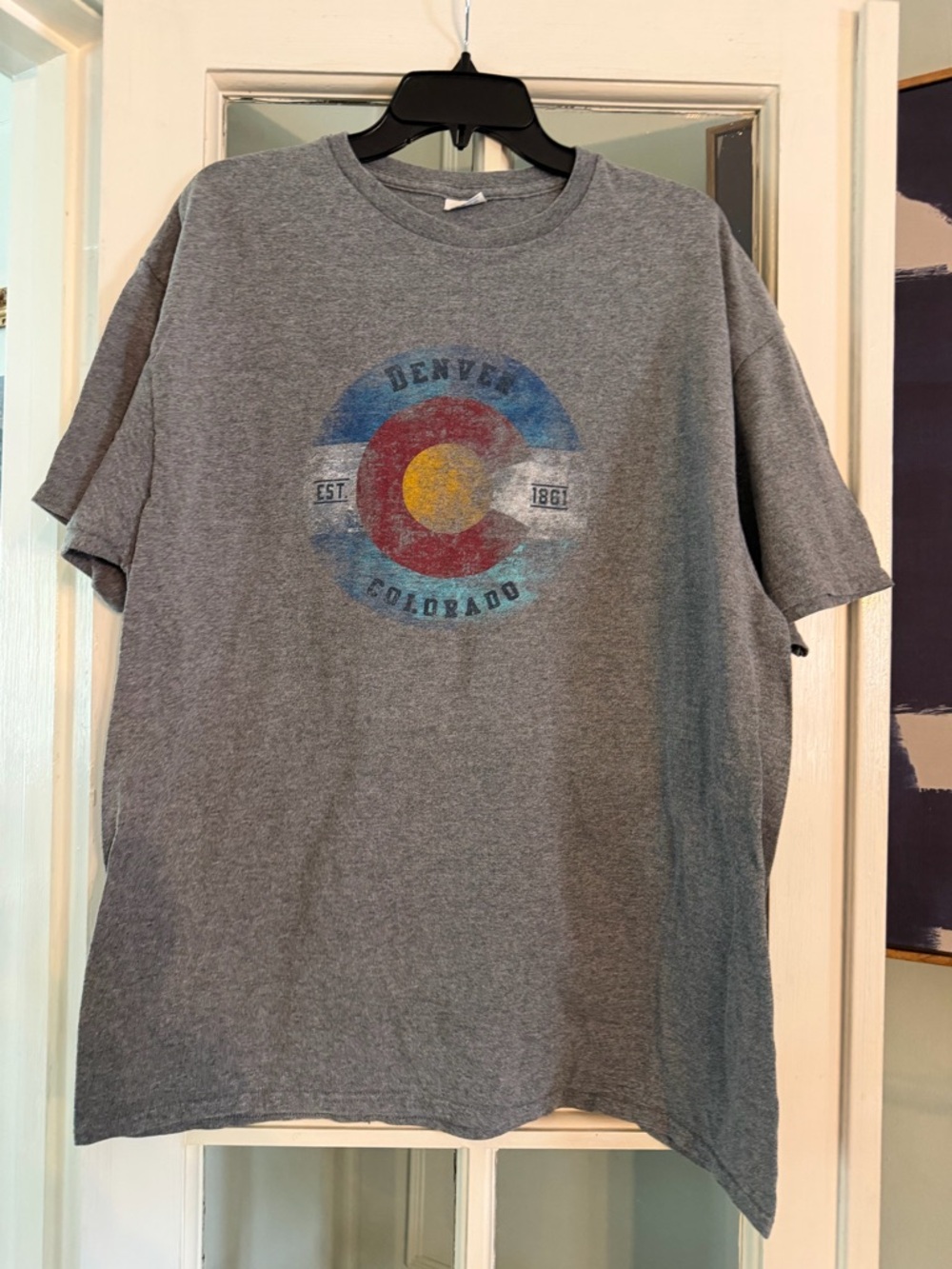 Denver Colorado Graphic T-Shirt - Gray
